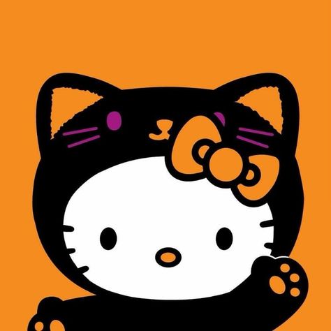 Black Cat Hello Kitty, Hello Kitty Halloween Pfp, October Pfp, Fall Hello Kitty, Hello Kitty Spooky, Spooky Hello Kitty, Fall Pfp, Halloween Sanrio, Spooky Images