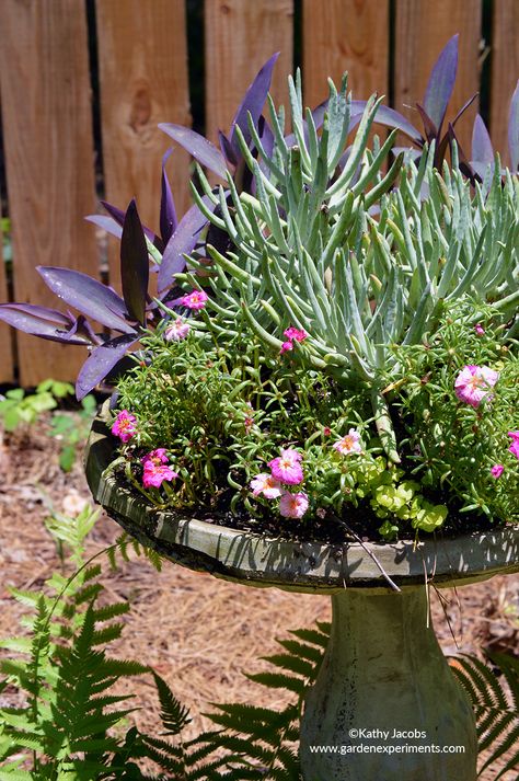 Fake Flower Centerpieces, Bird Bath Planter, Grandma House, Bath Garden, Concrete Bird Bath, Outdoor Gardens Landscaping, Succulent Planter Diy, Sacred Garden, Container Planting