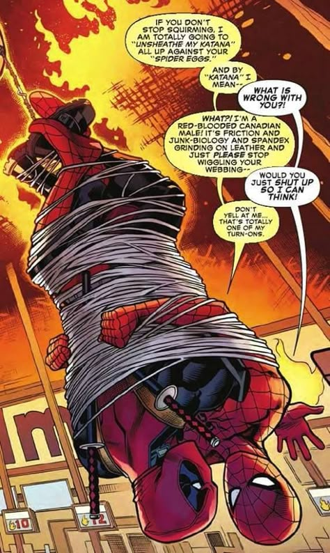 Deadpool Y Spiderman, All Spiderman, Deadpool X Spiderman, Deadpool Funny, Deadpool And Spiderman, Dead Pool, Dc Memes, Marvel Jokes, Archie Comics