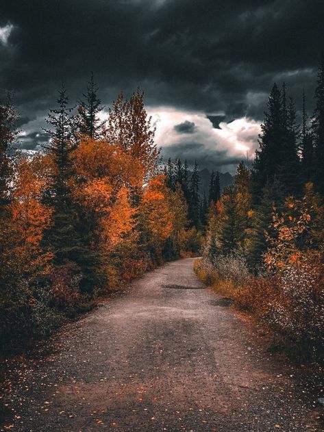 November Vibes, Autumn Dark, Christian Fall, Autumn Magic, Landscape Photography Nature, Autumn Scenes, Autumn Scenery, Beautiful Places Nature, Autumn Vibes