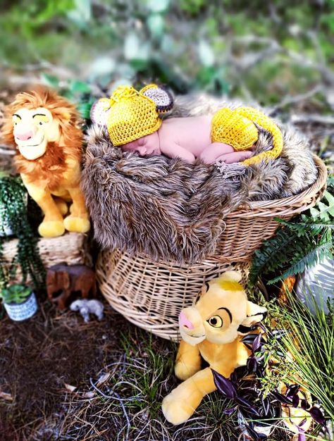 Lion King themed pictures of my baby Newborn Lion King Photoshoot, Lion King Newborn Pictures, Monthly Photoshoot, Newborn Shoots, Lion King Baby, Belly Casting, Monthly Baby Pictures, Newborn Pics, Newborn Shoot