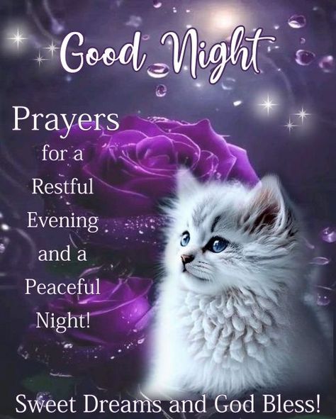 Snoopy Sweet Dreams, Good Night Prayers, Snoopy Sleep, Good Night God Bless, Good Night Love You, Good Night Blessings Quotes, Funny Good Night Quotes, Good Night Cat, Good Night Prayer Quotes