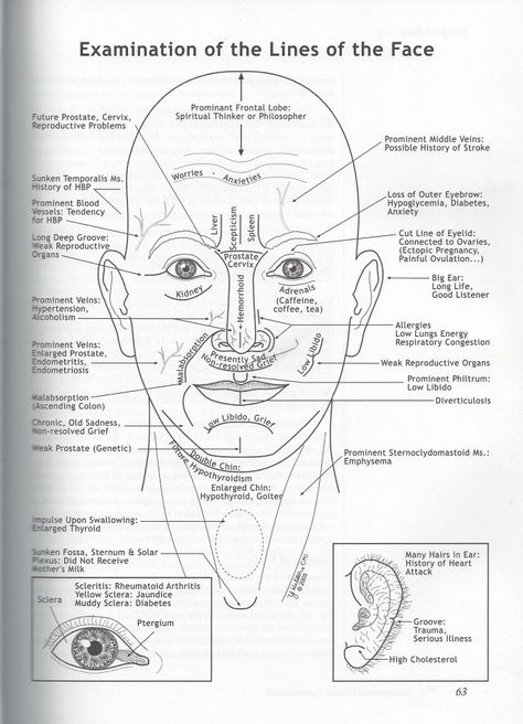 Ayurvedic Facial Diagnosis: What are the Lines on your Face Revealing about your Health? Chinese Face Reading, Face Mapping Acne, Ayurveda Lifestyle, Point Acupuncture, Facial Nerve, Ayurveda Yoga, Face Mapping, Ayurvedic Healing, Face Reading