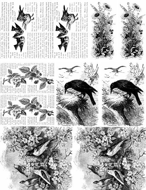 Imagesbykim: Free Bee Friday! - Digital Collage Sheet - Black and white vintage book pages birds flowers Vintage Printables Black And White, Scrapbook Printables Black And White, Phomemo Printables Black And White, Journal Printables Stickers Aesthetic Black And White, Aesthetic Stickers Printable Vintage Black And White, Black And White Printables Free, Black And White Ephemera Free Printables, Scrapbook Stickers Printable Black And White, Free Digital Printables