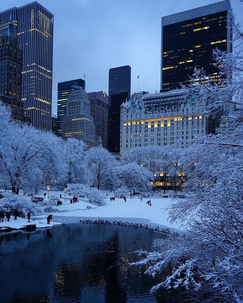 Ny Winter, Eloise At The Plaza, Park Avenue Princess, Christmas In New York, New York Winter, Nyc Christmas, Central Park Nyc, Beautiful Snow, New York Life