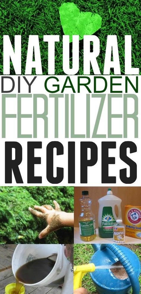 Garden Fertilizers, Natural Plant Fertilizer, Diy Fertilizer, Lawn Fertilizer, Diy Lawn, Natural Fertilizer, Garden Compost, Fertilizer For Plants, Organic Gardening Tips