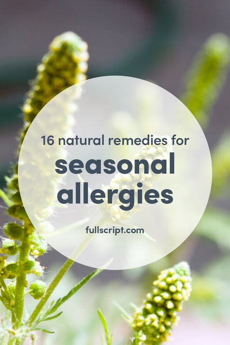 Ragweed Allergy Remedies, Ragweed Allergy, Summer In California, Remedies For Allergies, Medical Remedies, Home Remedies For Allergies, Food Allergies Awareness, Natural Remedies For Allergies, Natural Remedies For Migraines