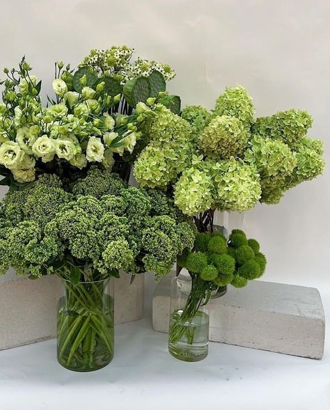 Green Foliage Wedding Decor, Bridal Shower Floral Arrangements, Nancy Meyers Wedding Aesthetic, Chartreuse Flowers, Green Flower Wedding, Green Hydrangea Wedding, Foliage Wedding Decor, Green Foliage Wedding, Green Tablescape