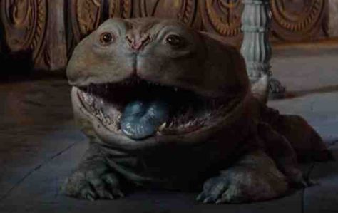 Woola - John Carter Wiki - Wikia Woola John Carter, Er John Carter, Where Are My Balls John Dog, John Carter Of Mars Concept Art, John Carter Movie, John Taylor Gatto, Toad Frog, John Carter Of Mars, Speculative Evolution