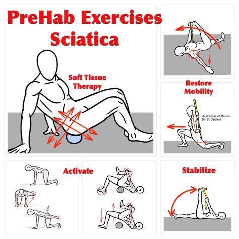 Suffering from Sciatica pain? Here is insights to creating a PreHab program for yourself that can reduce the affects of Sciatica.   Go to the Michael Rosengart, CSCS Facebook Page for more details and illustrations.  Follow this link: https://www.facebook.com/Michael.Rosengart.CSCS/posts/856356864431299  #prehab #sciatica #movingpainfree #buildingathletes #preparetoperform #keepgettingbetter Rehabilitation Exercises, Stability Exercises, Massage Therapy Techniques, Foam Roller Exercises, Pilates Reformer Exercises, Sciatica Exercises, Physical Therapy Exercises, Posture Exercises, Mobility Exercises