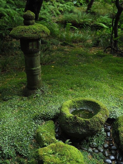 Japanese Garden Design, Moss Garden, Fire Pit Area, Kew Gardens, Patio Stones, Green Garden, Water Feature, Small Gardens, Zen Garden