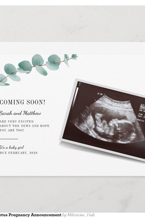 Baby Reveal Eucalyptus Pregnancy Announcement Pregnancy Announcement Cards, Baby Reveal, Announcement Cards, Pregnancy Announcement, Baby Shop, Created By, Stars, Christmas