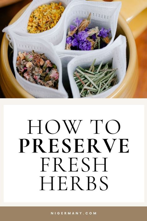 Learn how to store and preserve fresh herbs like basil, rosemary, and cilantro for maximum freshness. Discover foolproof ways to keep herbs fresh for up to 2 weeks! Keep Herbs Fresh, Preserve Fresh Herbs, Detox Your Home, Preserving Herbs, Herbal Plants, Herbal Recipes, How To Store, Healthy Families, Delicious Healthy Recipes