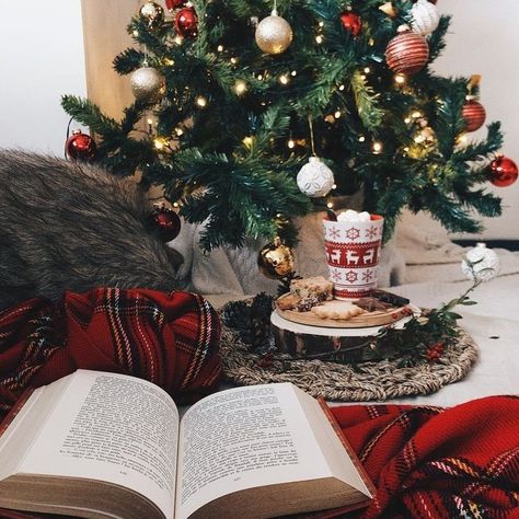 Christmas Bookshelf, Christmas Reading, Cosy Christmas, Christmas Feeling, Christmas Inspo, Warm Christmas, Christmas Wonderland, Merry Little Christmas, Christmas Mood