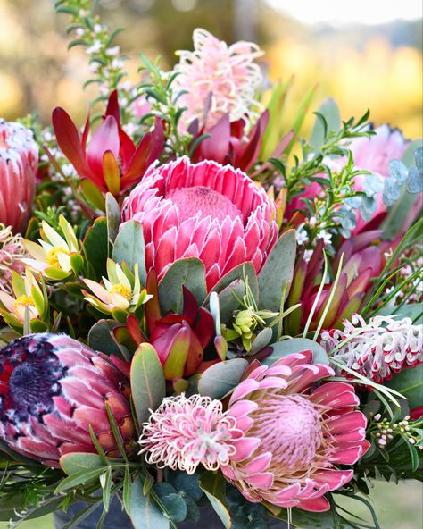 Fynbos Wedding Flowers, Protea Floral Arrangements, Australian Native Flower Arrangements, Blomme Ruikers, Watercolour Protea, Protea Flower Arrangements, Protea Arrangements, Native Australian Flowers, Bridal Flower Arrangements