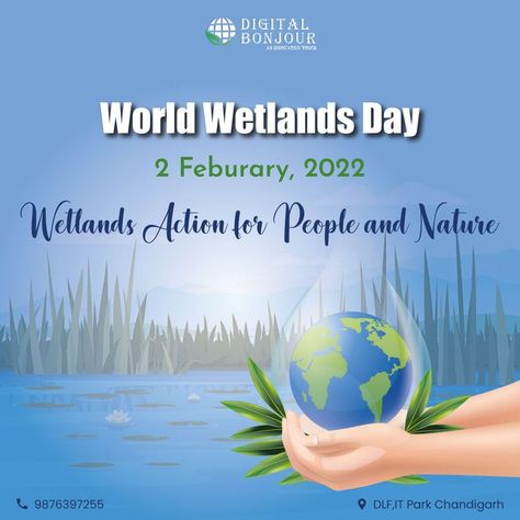 World Wetlands Day is celebrated to raise attention concerning the importance of wetlands. The adoption of the Convention on Wetlands is also marked on this date. This year, World Wetlands Day is observed as the United Nations International Day for the first time. The motto for this year is a call to action for wetlands. #wetlandsday2022 #wetlandsconservation #wetlandwednesday #wetlandrestoration #wetlandsforourfuture #wetlandscentre #wetlandsmatter #wetlandsinternational #wetlandscience World Wetlands Day, International Day, Web Designer, Call To Action, Seo Tips, Seo Marketing, Ecosystem, Best Web, Web Development