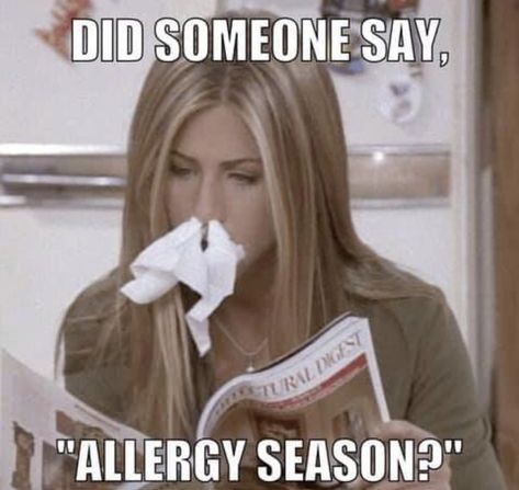 Seasonal Allergies Funny, Allergy Memes, Allergies Funny, Cold Or Allergies, Freaking Hilarious, Air Air, Seasonal Allergies, Allergy Symptoms, Internet Memes