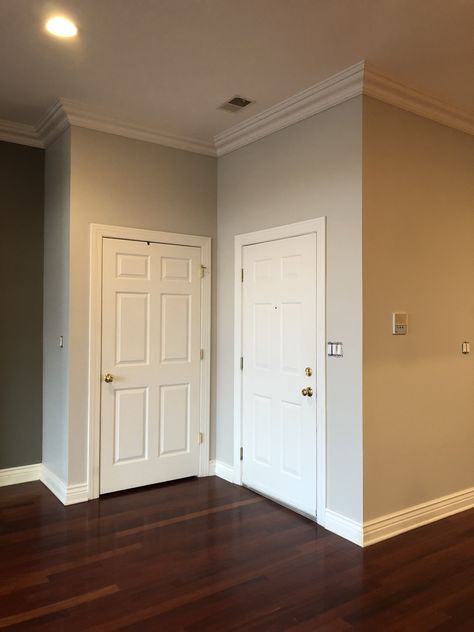 Benjamin Moore Collingwood Benjamin Moore Collingwood, Benjamin Moore Paint Colors Gray, Behr Paint Colors Grey, Paint Colors Gray, Neutral Paint Colors Benjamin Moore, Exterior Gray Paint, Home Wall Colour, Wall Color Ideas, Benjamin Moore Paint Colors