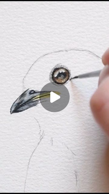 Kiley Busko on Instagram: "Eastern Bluebird watercolor" Eastern Bluebird Drawing, Easy Watercolor Birds Painting Tutorials, Watercolor Paintings Of Birds, Eastern Bluebird Painting, Birds Watercolor Paintings, Watercolor Birds Easy, Watercolor Animals Simple, Watercolor Art Birds, Watercolor Birds Tutorial