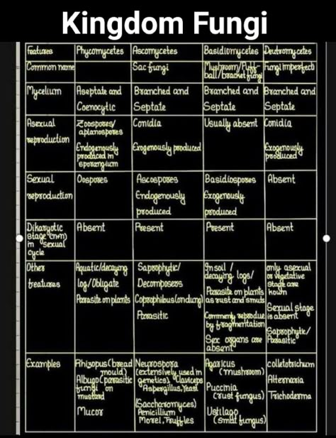 How To Make Short Notes For Neet, Neet Exam Notes Biology Tricks Animal Kingdom, Kingdom Fungi Notes, Kingdom Fungi Notes Class 11, Neet Notes Biology Class 11, Fungi Classification, Fungi Notes, Neet Exam Notes, Biology Class 12