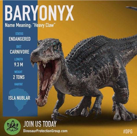 Baryonyx from the Dinosaur Protection Group Baryonyx Art, Blue Jurassic World, Jurassic World 2, Dinosaur Facts, Jurassic Park 1993, Fallen Kingdom, Lego Jurassic, Jurrasic Park, Jurassic World Fallen Kingdom