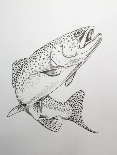 Salmon Drawing, Trout Tattoo, Fly Drawing, Trout Art, Tupac Art, Fly Fishing Art, Stippling Art, Animal Illustration Art, Drawing Examples