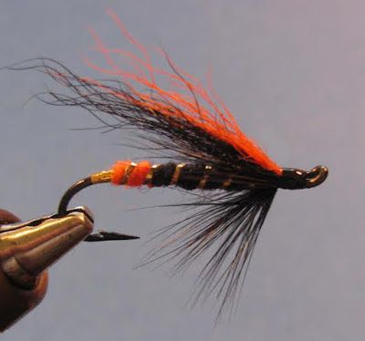 Dark Max Canyon Steelhead Fly Fly Tying Vice, Steelhead Fishing, Hair Wings, Trout Fishing Tips, Steelhead Flies, Fly Fishing Lures, Fly Fishing Flies Pattern, Fly Fishing Tips, Fly Fishing Flies Trout