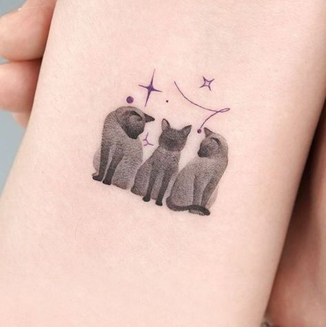 40 Simple and Stylish Cat Silhouette Tattoos. | Inku Paw Cat Tattoo Designs 3 Cats, 3 Black Cat Tattoo, Three Cats Tattoo Simple, Cat Tattoo 3 Cats, 3 Cat Tattoo Ideas, Three Cat Tattoo Design, Multi Cat Tattoo, Cat Toy Tattoo, 4 Cats Tattoo