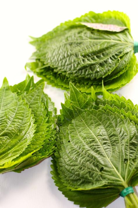 Perilla Leaves Recipes, Shiso Recipe, Seed Swap, Perilla Leaves, Zucchini Side Dishes, Black Dessert, Fancy Dishes, Korean Side Dishes, Pickled Radishes