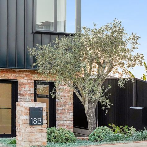 The Sienna 2 is a stylish and secure letterbox, perfect for receiving mail, satchels, and small parcels. It can be easily installed into fences or brickwork. Featured here is the black Siena 2 paired with 120mm stainless steel numbers in @cloverhomes recent build. Find your perfect letterbox online at milkcan.com.au Brick Letterbox, Letterbox Ideas Modern, Rural Letterbox Ideas, Rendered Letterbox Ideas, Letterbox Ideas, Black Letter Box Front Door, Brick Letterbox Ideas Australia, Rustic Letterbox, Letter Box Design