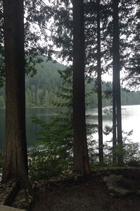 Loon Lake, Maple Ridge, BC Boundary Waters, Maple Ridge, City View, Vancouver, Lake, Collage, Water, Plants, Pins