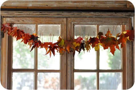 Our fall beeswax fun Beeswax Birthday Candles, Activities For All Ages, Fall Leaf Garland, Autumn Leaves Art, Fall Garland, 2nd Year, Autumn Crafts, Fall Leaf, Leaf Garland