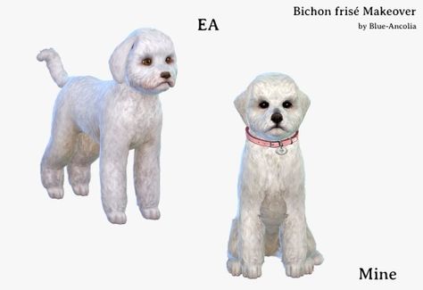 Blue Ancolia - Bichon Frise makeover Here is Rose, this playful,... Blue Ancolia, Sims 4 Beds, Sims Pets, Bichon Dog, Hugs And Cuddles, Sweet Dog, Sims 4 Cc Makeup, Sims 4 Expansions, Casas The Sims 4