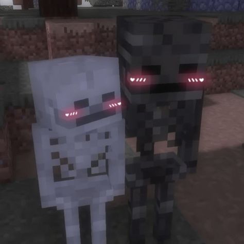 Minecraft Cute Aesthetic, Matching Minecraft Pfp, Cute Minecraft Pfp, Minecraft Pfp, Minecraft Icon, Minecraft Wither, Minecraft Images, Minecraft Pictures, Monster School