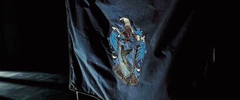 Harry Potter Banner, Ravenclaw Outfit, Hp Fanfiction, Hogwarts Alumni, Ravenclaw Aesthetic, Harry Potter Gif, Hogwarts Aesthetic, Hardy Boys, Harry Potter Aesthetic