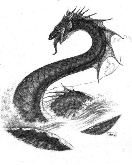 Sea Monster Reference, Sea Serpent Illustration, Sea Monsters Tattoo, Sea Snake Drawing, Sea Snake Monster, Sea Serpent Drawing, Monster Drawing Sketches, Sea Serpent Tattoo, Sea Monster Drawing