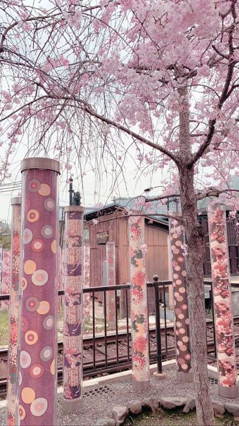 Japan Pics, City Aesthetics, Tokyo Aesthetic, Cherry Blossom Theme, Pink Filter, Japan Core, Types Of Aesthetics, Dark Purple Wallpaper, Japan And Korea