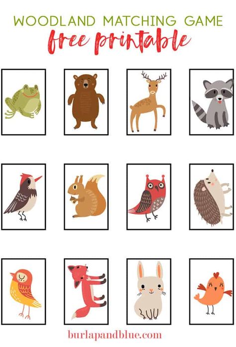 Free Woodland Animals Matching Game Preschool Forest Animals, Woodland Animal Prints Free Printables, Free Woodland Animal Printables, Nursery Prints Free, Animal Matching Game, Free Alphabet Printables, Woodland Animals Theme, Woodland Animal Art, Woodland Wall Art