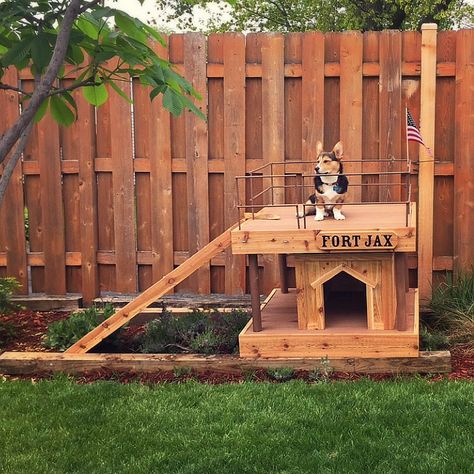 #doghouse #corgi #grandpalovesme Dog Fort, Fluffy Corgi, Dog Yard, Corgi Pictures, Cute Corgi, Silly Jokes, Pembroke Welsh Corgi, Corgi Dog, Welsh Corgi