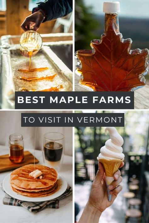 Visiting Vermont in Fall? One of the best things to do is visit a real Vermont maple syrup farm! Our Vermont Maple Syrup Farms guide walks you through the best farms, where to find free maple syrup tastings, and which place has the BEST maple creemee! Vermont Maple Syrup Farms, Vermont Maple Syrup, Things To Do In Vermont Fall, Maple Creemee, Visiting Vermont, Vermont In Fall, Things To Do In Vermont, 50 States Travel, Homemade Cider