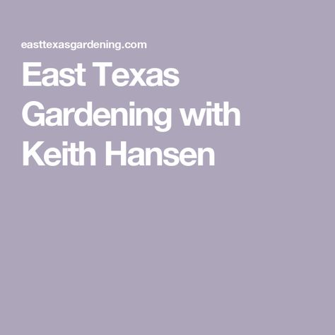 East Texas Gardening with Keith Hansen Japanese Maple Varieties, Purple Salvia, Cauliflower Plant, Vegetable Harvest, Garden Site, Pineapple Sage, Texas Gardening, Fall Vegetables, Soil Testing