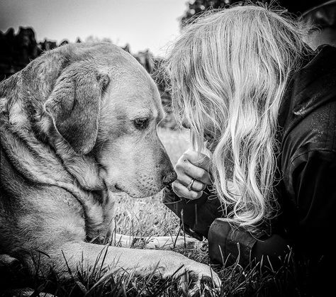 Andy Biggar dogs capture the bond Dog Last Day Photoshoot, Celebration Of Life Pet Photography, Dogs Last Day Photoshoot, Celebration Of Life Dog Photography, Poses With Dogs, Dog Last Day, Dog Photoshoot Pet Photography, Dog Photography Poses, International Dog Day