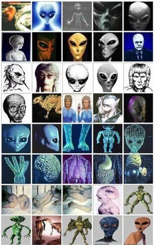 Types Of Aliens, Science Fact, Sci Fi Spaceships, Aliens And Ufos, Alien Races, Mythological Creatures, Fallen Angel, Another World, Aliens