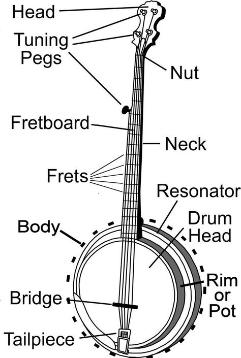 Diy Banjo, Learning Banjo, Banjo Chords, Banjo Tabs, Banjo Lessons, Indian Musical Instruments, To Be Wanted, Mad Max Fury, Mad Max Fury Road