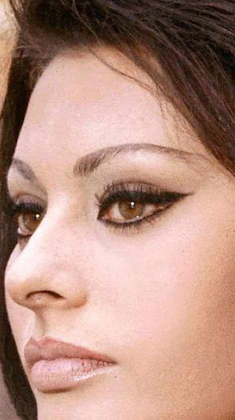 Italian Makeup, 60s Makeup, Retro Makeup, Sofia Loren, Soft Dramatic, Cary Grant, Vintage Makeup, Sophia Loren, Everyday Makeup