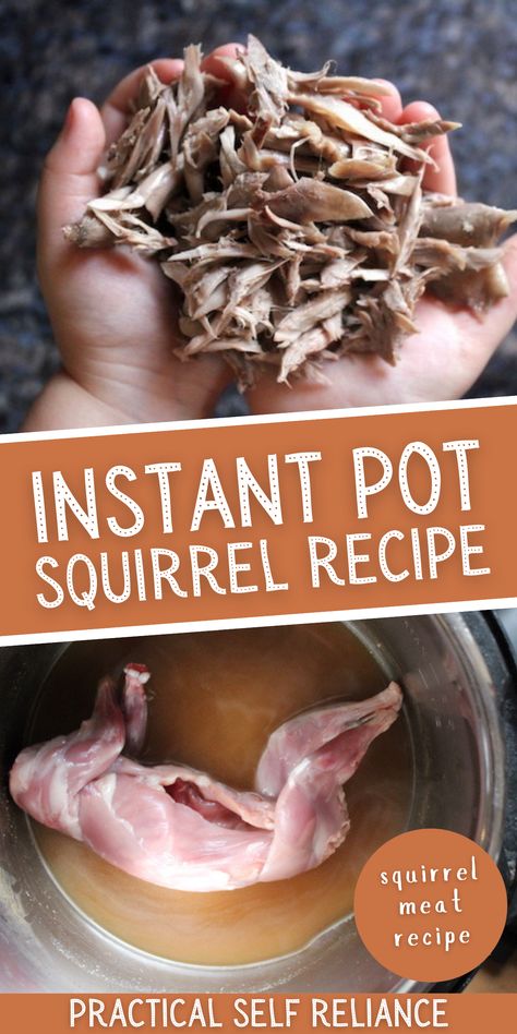 Instant Pot Squirrel Recipe - You're going to love this easy Instant Pot recipe if you're hunting squirrels this fall. It's the easiest wild game recipe! Fried Squirrel Recipes, Instant Pot Squirrel Recipe, Deer Meat Instant Pot Recipes, Best Squirrel Recipes, How To Cook Squirrel, Squirrel Pot Pie Recipes, Smoked Squirrel Recipes, Cooking Squirrel Recipes, How To Cook Squirrel Recipes