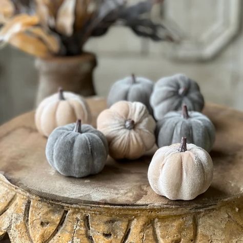 Did you know it’s just as important to add the right textures to your fall decorating that helps create the warmth & coziness in your home🏡 Acorns, Velvet & Wheat are a few. Subscribe to our newsletter to find out about more! Only at 👉🏼www.decorbyamanda.com 🍂Everything is in-stock & ready to ship! 🍂Please Support Small Business 🍂If you love this post please like, share & save it so others can enjoy it too! #retailtherapy #happy #photooftheday #love #retail #onlineshop #Ecommerce #bout... Dough Bowls, Urban Farmhouse, Blue Pumpkins, Fall Bedroom, Velvet Pumpkins, Small Pumpkins, Blue Tone, Dough Bowl, Tiered Trays