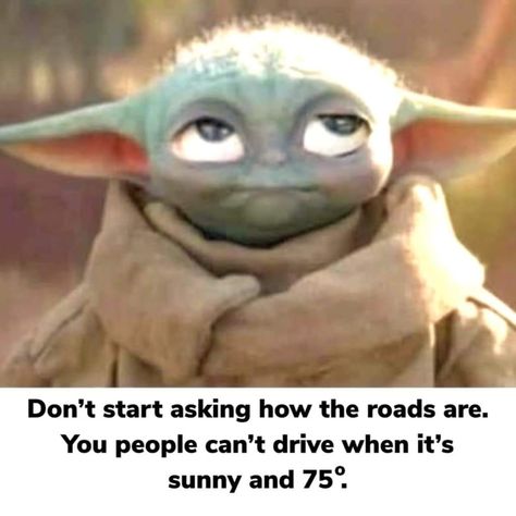 Trekking Quotes, Yoda Quotes, Yoda Images, Yoda Funny, Weather Quotes, Crazy Quotes, Fantasy Comics, Animated Christmas, Funny Comments