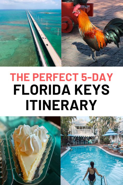 Florida Keys Road Trip Itinerary, Florida Keys Itinerary, Key West Itinerary, The Keys Florida, Florida Itinerary, Key West Lighthouse, Welcome To Florida, Florida Keys Road Trip, Florida Keys Vacation