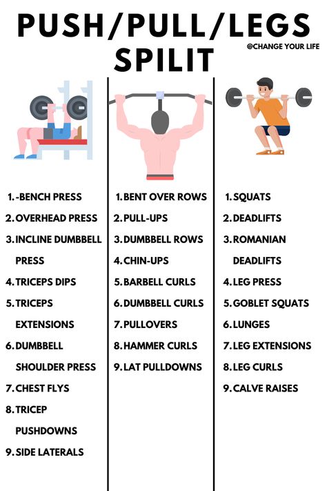 Tricep Pushdown, Push Pull Legs, Progressive Overload, Dumbbell Curls, Workout Splits, Hammer Curls, Goblet Squat, Best Exercise, Leg Curl